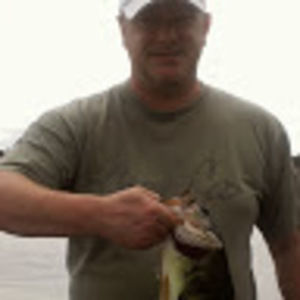 Meet your Posher, Peter